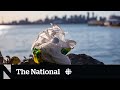 Federal Court overturns national single-use plastics ban