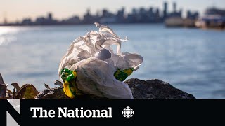 Federal Court overturns national single-use plastics ban