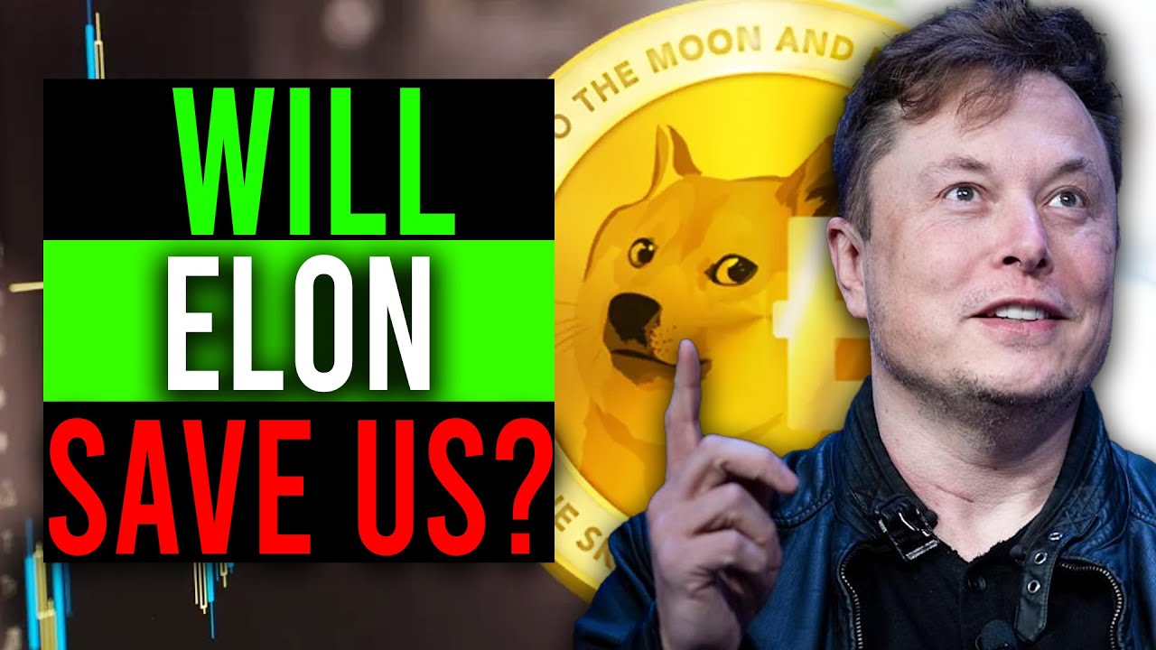 DOGECOIN JUST CRASHED! WILL ELON SAVE IT? (DOGECOIN CRASH EXPLAINED ...