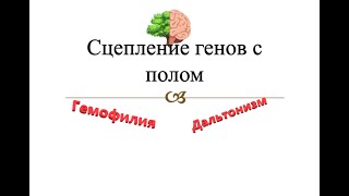 Урок 31  Гемофилия и дальтонизм