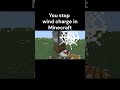 You stop windchare in Minecraft 😄