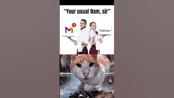 what applying for a software engineering job looks like in 2025