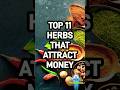 Herbs That Attract Money 💰 Fast! (TOP 11) #shorts #youtubeshorts #attractmoney #attractwealth
