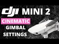 DJI MINI 2 | CINEMATIC GIMBAL SETTINGS