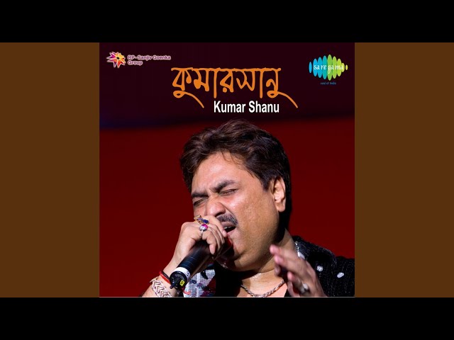 Tui Naki Ma Dayamoyee Lyrics (তুই নাকি মা দয়াময়ী) Kumar Sanu