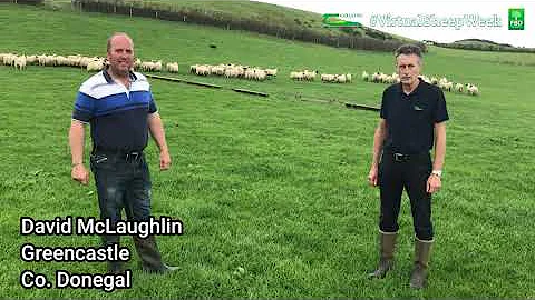 David McLaughlin, Co. Donegal - Hill Flock Managem...