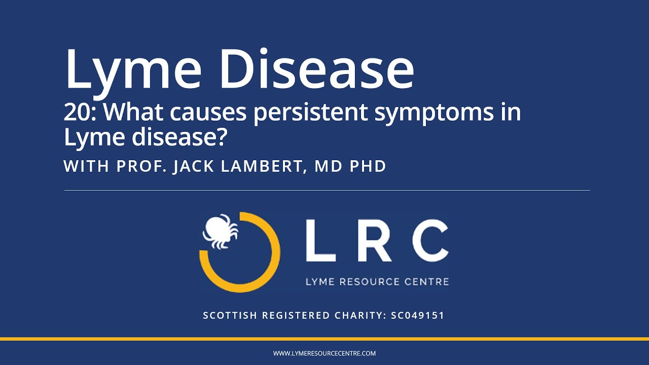 Lyme Disease - Small Bites for GPs 20: What causes persistent symptoms in Lyme disease?