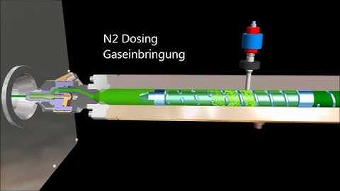 MuCell Process Animation