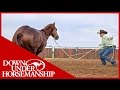 Clinton Anderson: How to get a Horse to Move Out Better on the Ground - Downunder Horsemanship
