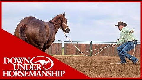 Clinton Anderson: How to get a Horse to Move Out Better on the Ground - Downunder Horsemanship