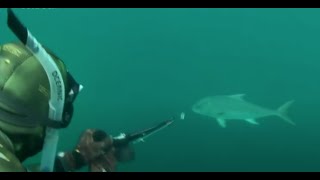 Подводная охота: Панама
