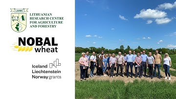 Short video about using of drones in international project NOBALwheat