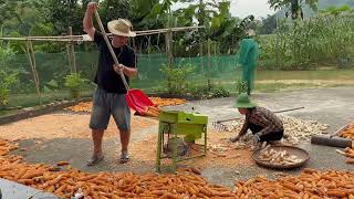 Hà Came To Help Hồng Separate The Corn Kernels After The Harvest Season.