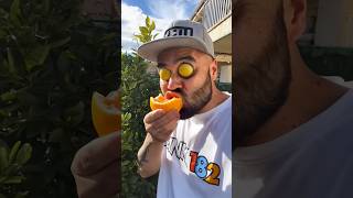 Want To Try My Orangesshorts 854