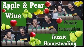 Apple Pear Wine - Primary Fermentation