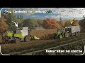 ✅"OZDG"[#177]│FS22│🌽KOSIMY KUKURYDZĘ NA ZIARNO😱PRZYCZEPA KEMPINGOWA NA SPRZEDAŻ?!
