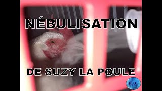  Nébulisation De Suzy La Poule