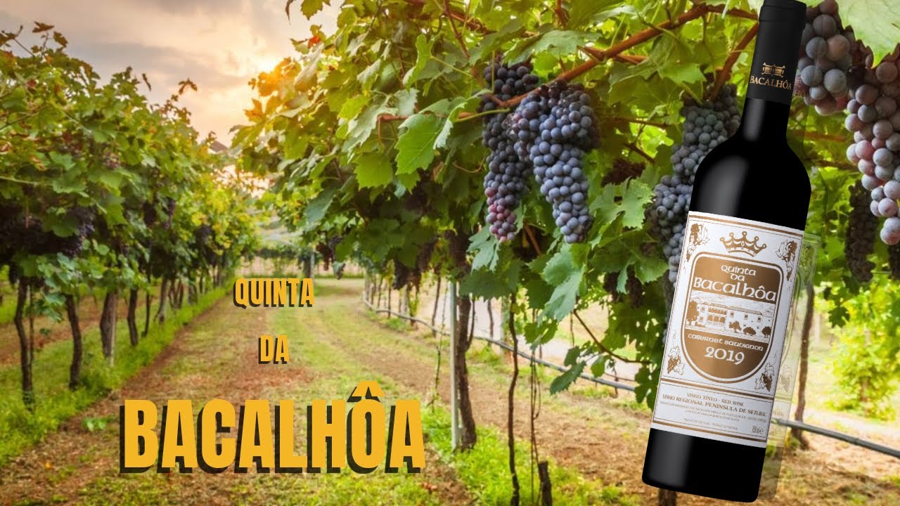 Quinta da Bacalhoa - O Melhor Cabernet Sauvignon de Portugal?