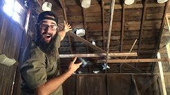 Checking the PIGEON LOFT for Nests!!! (and other farm stuff)