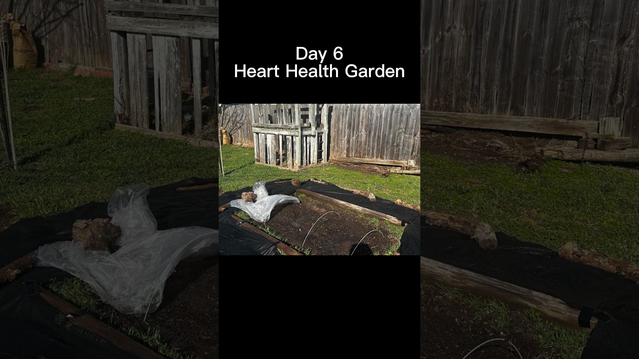 Noticing Progress | Heart Health Garden Day 6 