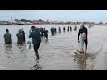 MAIS DE UMA TONELADA DE PEIXES, 06/05/21, PESCA DE TARRAFAS, nas Barras de Imbé e Tramandaí.