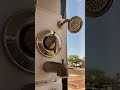 Taylor Morrison Lucero Discovery. Base bathroom faucet and shower info
