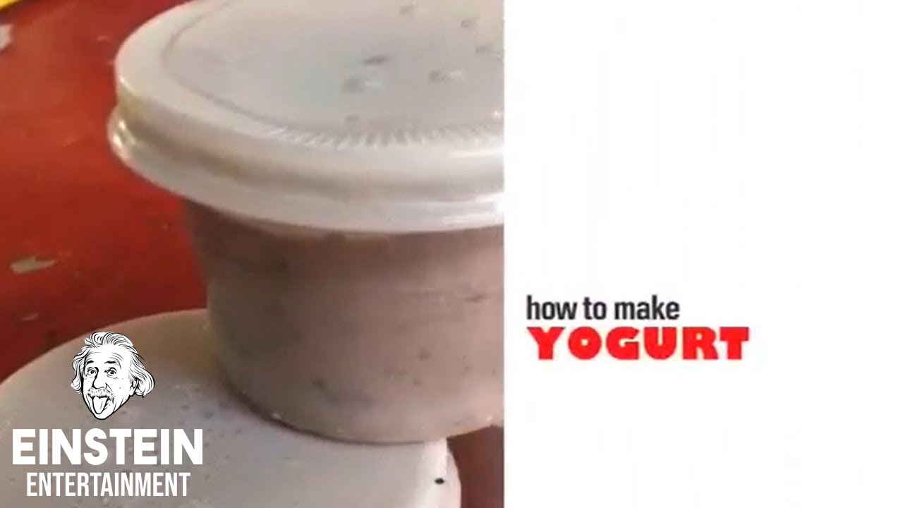 How To Make Yogurt Biotechnology Bataan National High School YouTube
