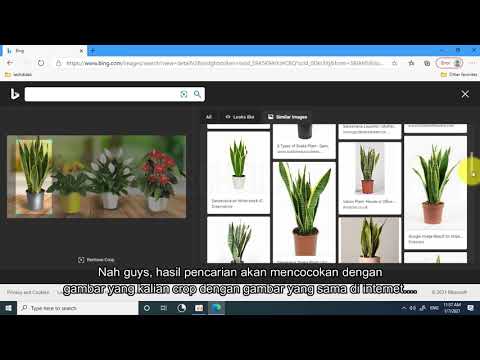 Cara Mencari atau Identifikasi Berdasarkan Gambar dengan Bing Visual Search