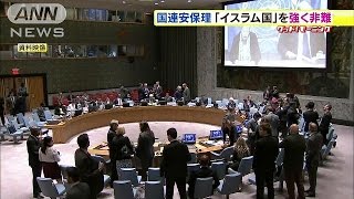 「イスラム国」残虐殺害行為を強く非難　国連安保理(15/02/02)