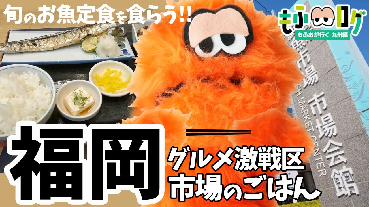 福岡観光の穴場!?福岡市鮮魚市場「市場会館」で味わう絶品グルメ！旬のお魚料理を食べれる老舗食堂にもふおさんが潜入
