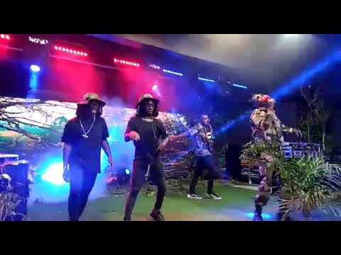 Coco Finger Performing Zoom 