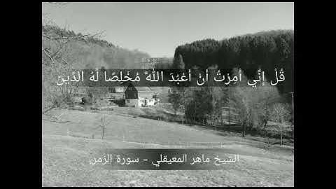 تلاوة خاشعة لايات من سورة الزمر - Surat Az-Zumer
