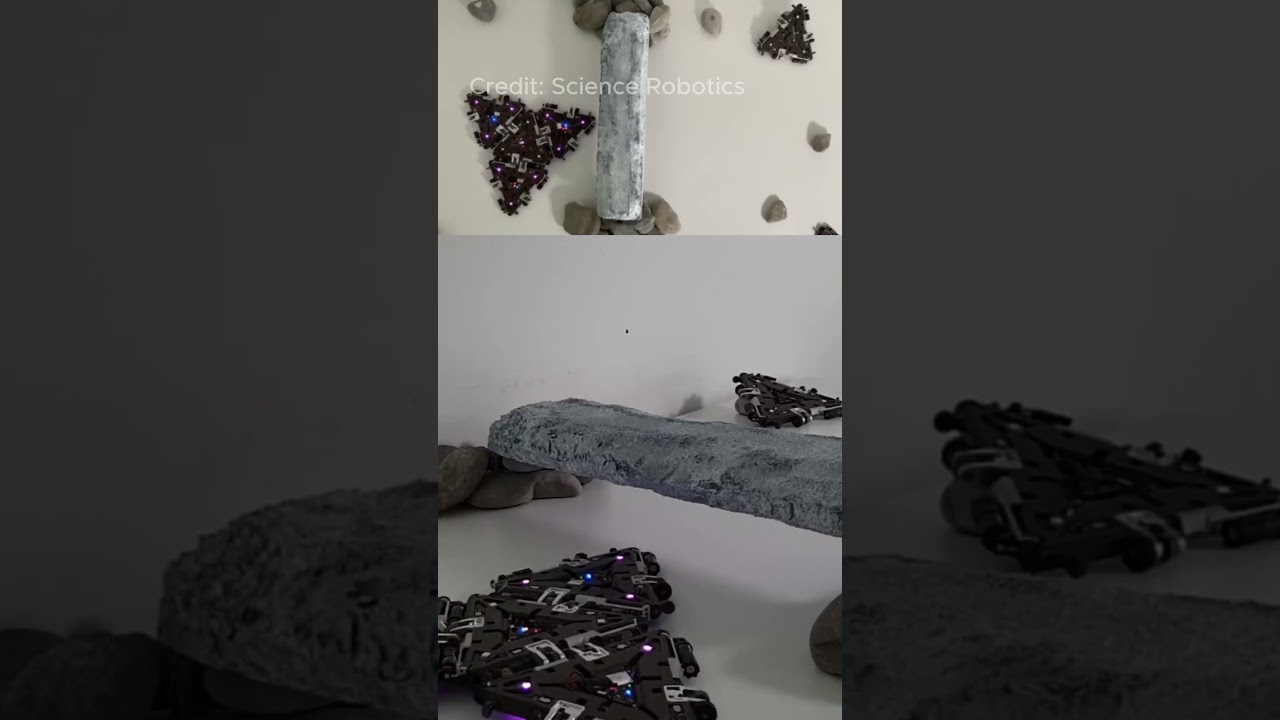 Модульный робот становится лучше с увеличением количества модулей.