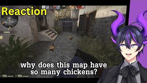 "Willekeurige CS:GO-onzin (deel 3)" | Kip reageert op SovietWomble