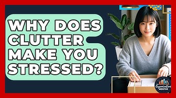 Why Does Clutter Make You Stressed? - Your Organization Mentor