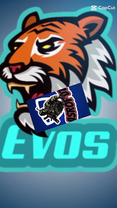 Ada logo evos