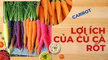 Lợi ích của củ cà rốt - Carrot