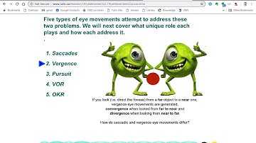 Lecture 11 Eye Movements 2018