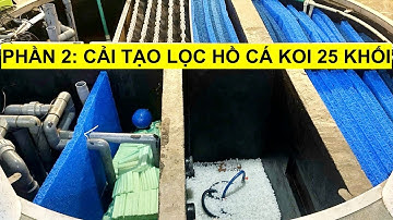 Phần 2 Cải Tạo Lại Lọc Hồ Cá Koi 25 Khối. Tháo Bỏ Máy Drum Filter Thay Thế Bằng Hệ Lọc Thô #hocakoi