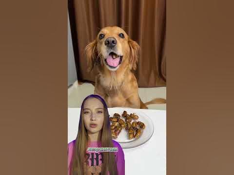 Это Съедобные Жуки! - YouTube