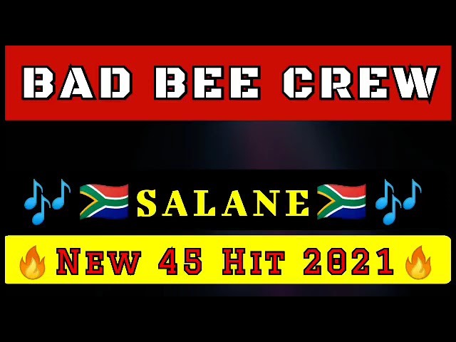 BAD BEE CREW_SALANE(NEW 45 HIT 2021) class=