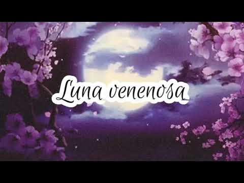 The Rasmus & Apocalyptica - Venomous Moon subtitulado