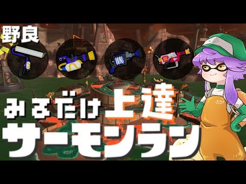 【野良】見るだけ上達サモラン！帰宅困難になりそうアラマキ砦🐋【スプラトゥーン3/サーモンランNW】