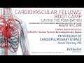 Physiology of Cardiopulmonary Bypass (James Ramsay, MD)