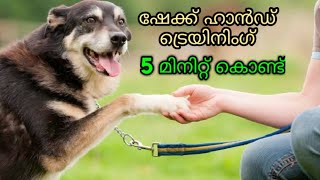 dog training : Shakehand Malayalam : kerala dog training : വളര്‍ത്തു നായയെ പരിശീലിപ്പിക്കാം