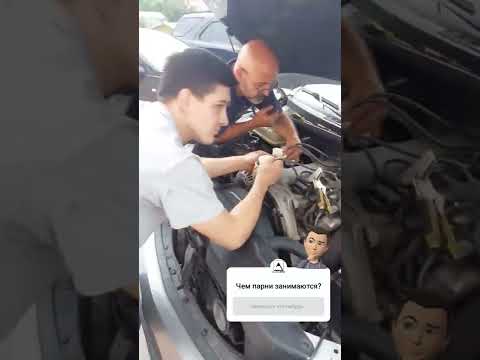 Автоподбор Киев. Оживление