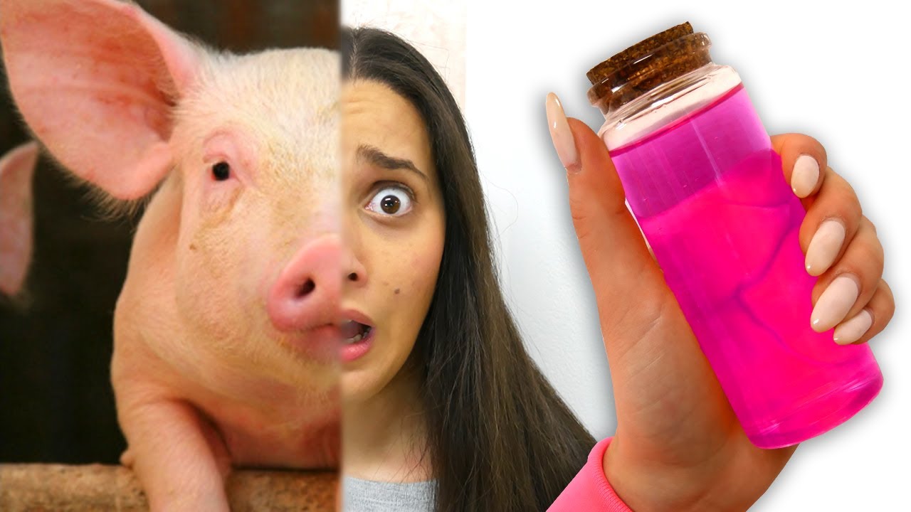 NON BERE LA POZIONE DEL MAIALE!!