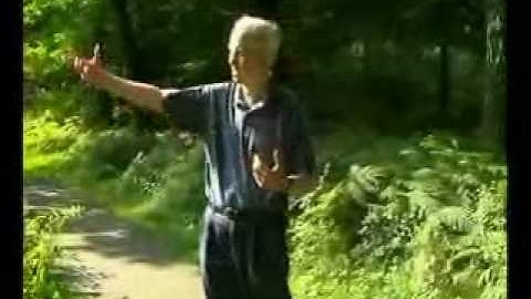 Mr Arnhem a bridge too far Part 8 of 9