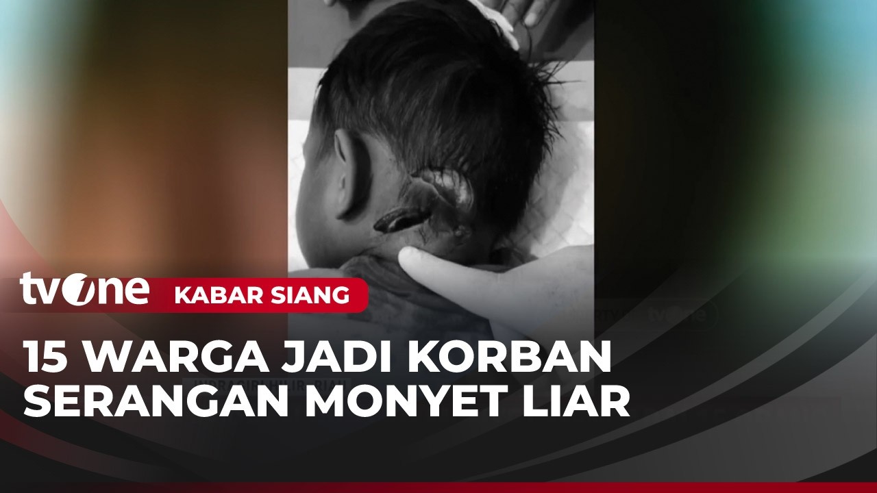 Korban Serangan Monyet Liar di Indragiri Hilir Bertambah