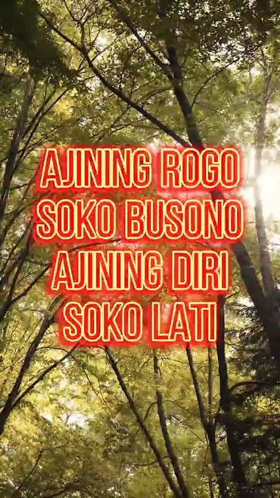 Ajining rogo soko busono#story wa #shorts#falsafah jawa 2#kejawen #budaya#adat#kepercayaan